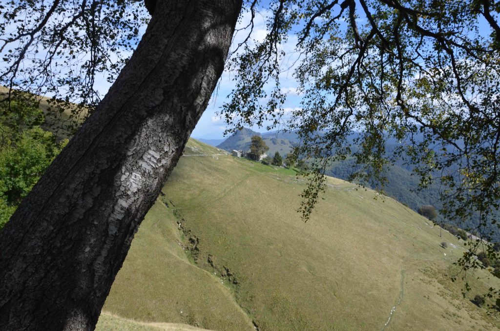 L'Alpe di Nadig vista da Génor