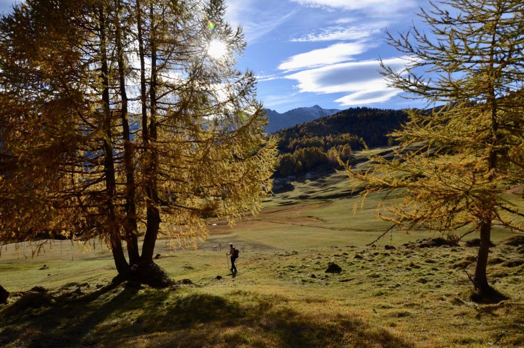 I colori caldi dell'autunno