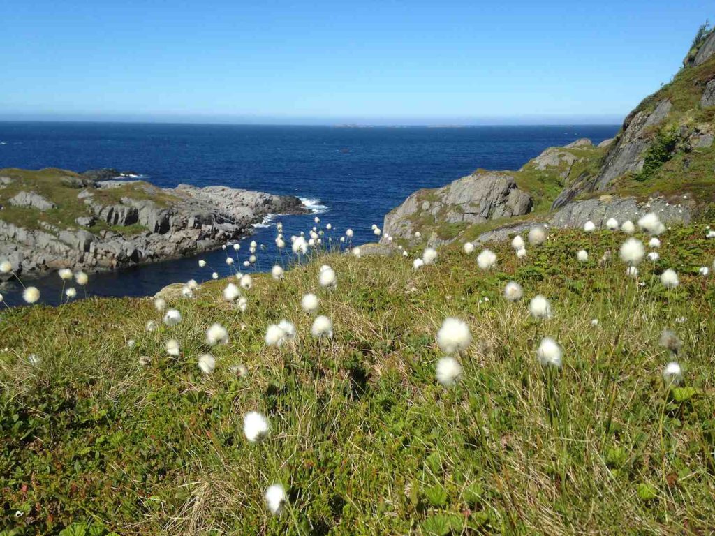 Tipico paesaggio delle isole Vesteralen