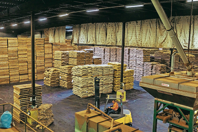 (Flurina Rothenberger)