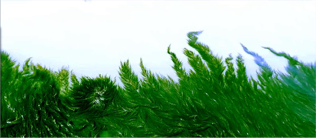 Teres Wydler, Aeons of Accumulations (© Teres Wydler)