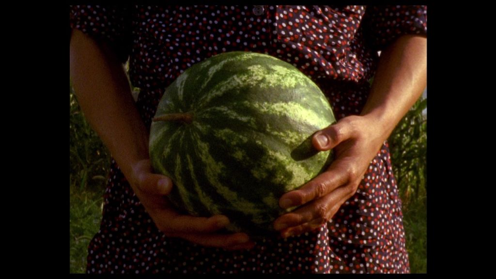 Un momento dell’onirico film «Lida» della svedese Anna Eborn (youtube)