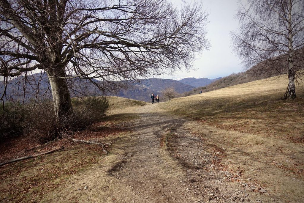 Il sentiero che sbuca sull'Alpe Vicania