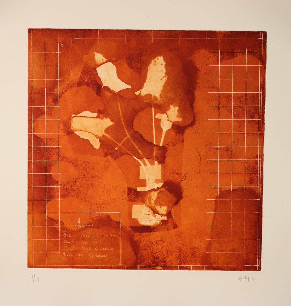 Aurum 1, 2018, acquatinta, 38 x 38 cm (Courtesy the artist)