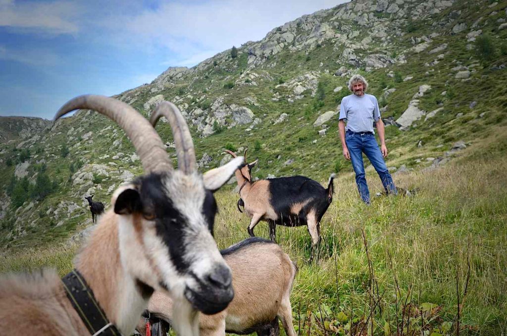 Lino, il gigante di Vacarisc