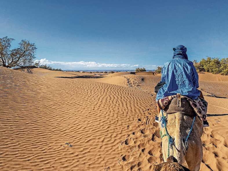 Entrata nell’Erg Lihoudi in dorso al dromedario
