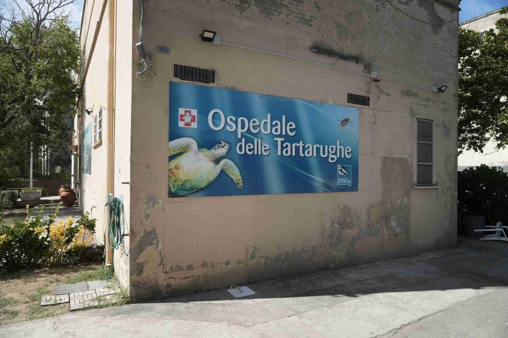 (Luigi Baldelli)