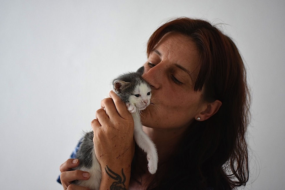 Alessandra Francescato mentre si prende cura di un gattino (MG Buletti)