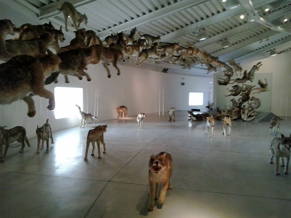 Cai Guo-Quiang, Head On (Centro Pecci)