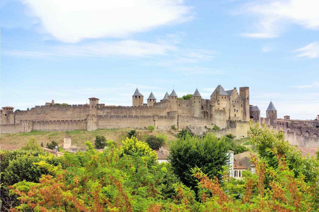 Carcassonne (Fabrizio Magnani)