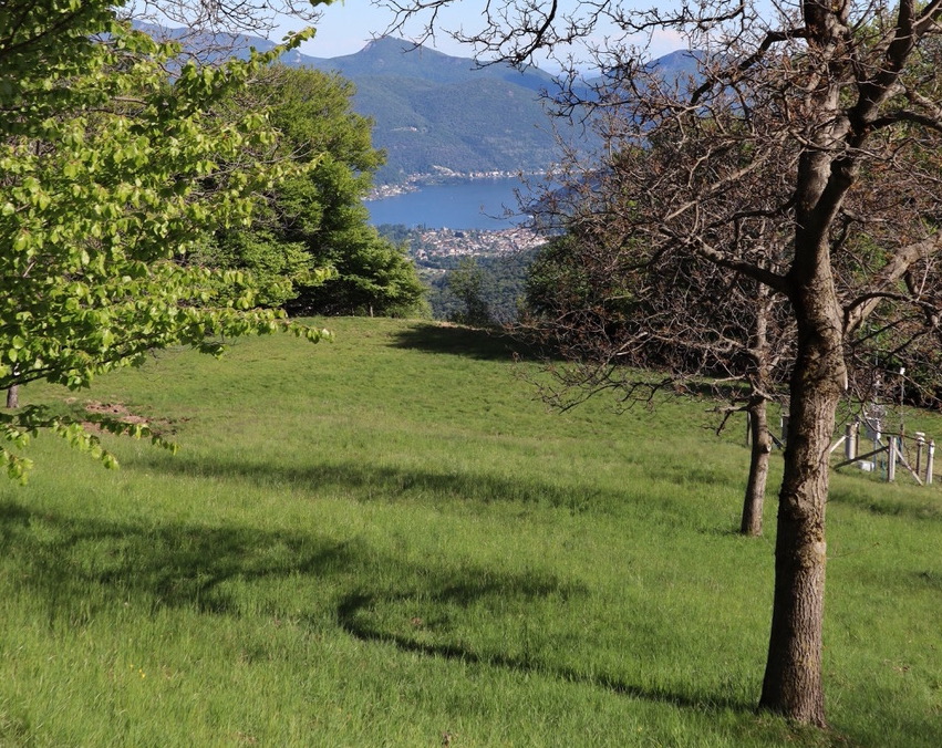 Il prato davanti a Cima Pianca