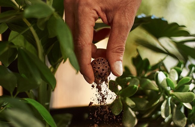 I rifiuti di CoffeeB sono interamente compostabili