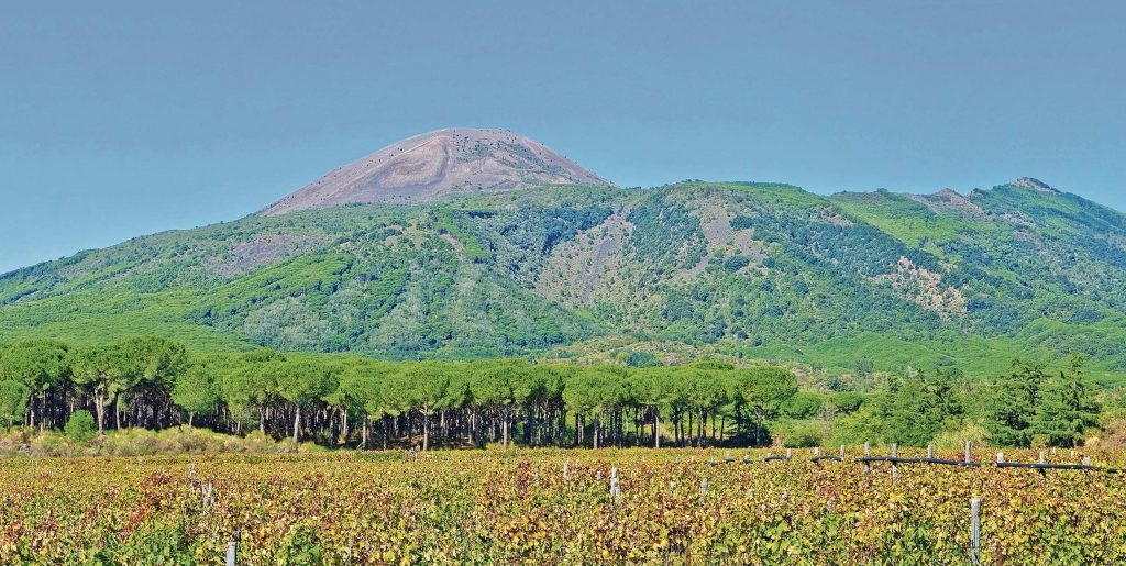 Vigneti ai piedi del Vesuvio, in Campania: un’eredità secolare (Shutterstock)
