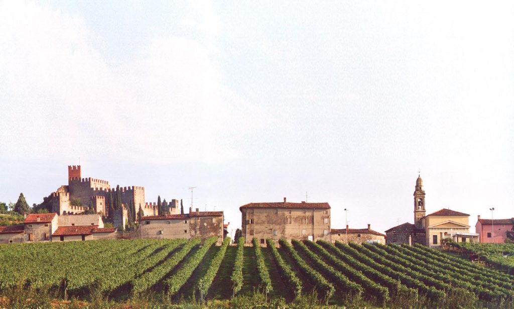 I vigneti di Soave (Alessandro Pighi)