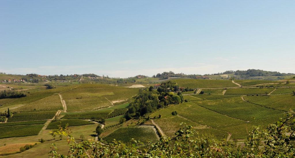 Vigneti della Conca di Vezzolano, in provincia di Asti (Castelnuovodonbosco)