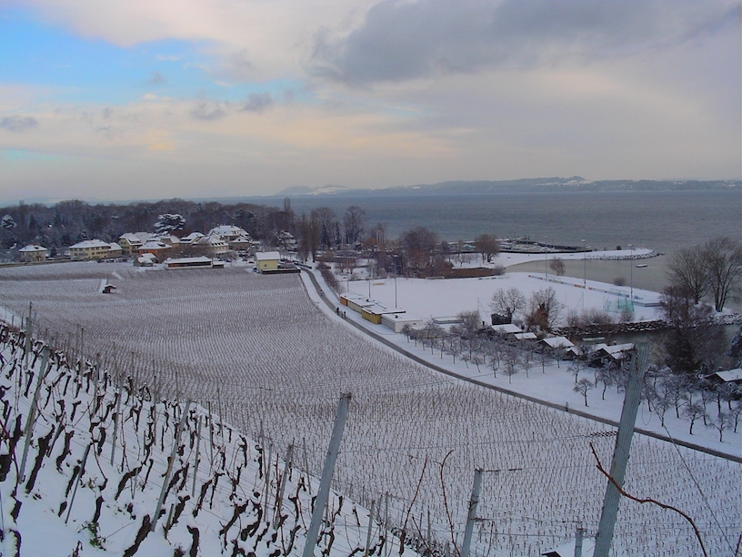 Vista su Cortaillod, con i suoi vigneti e il suo porto sul Lago di Neuchâtel (Cortaillodvigne)