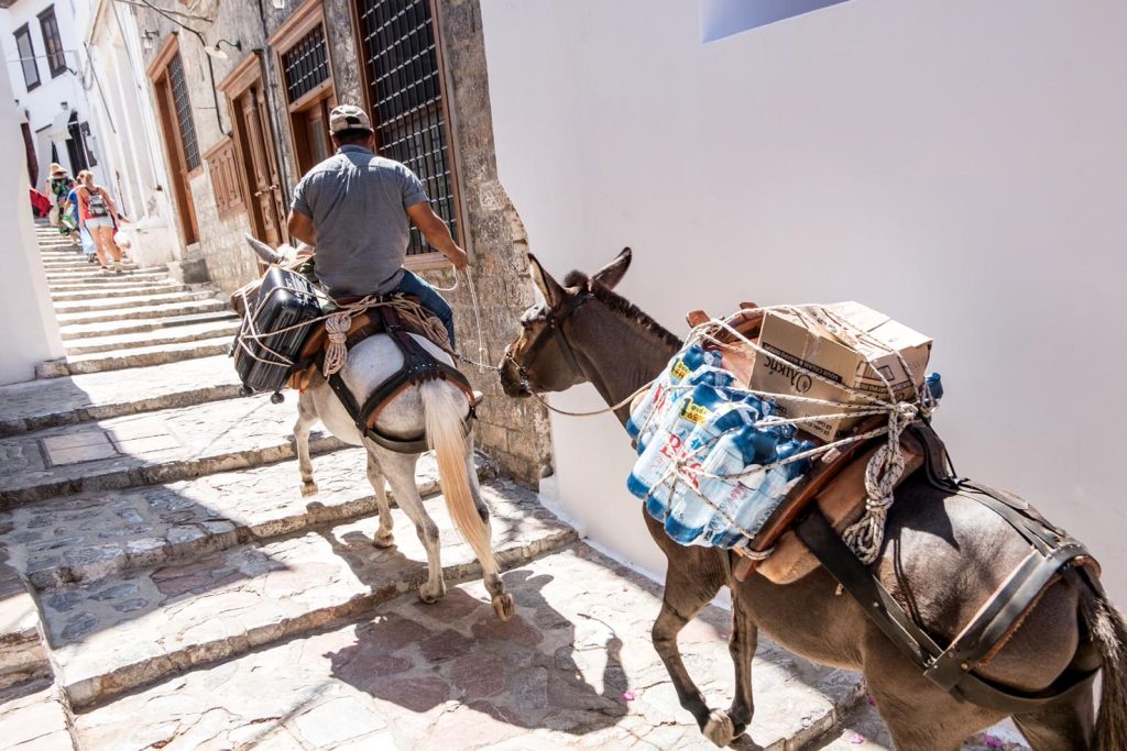 Bisogna spostarsi per fare spazio ai muli, in groppa portano spesso casse d’acqua o bagagli voluminosi, Idra