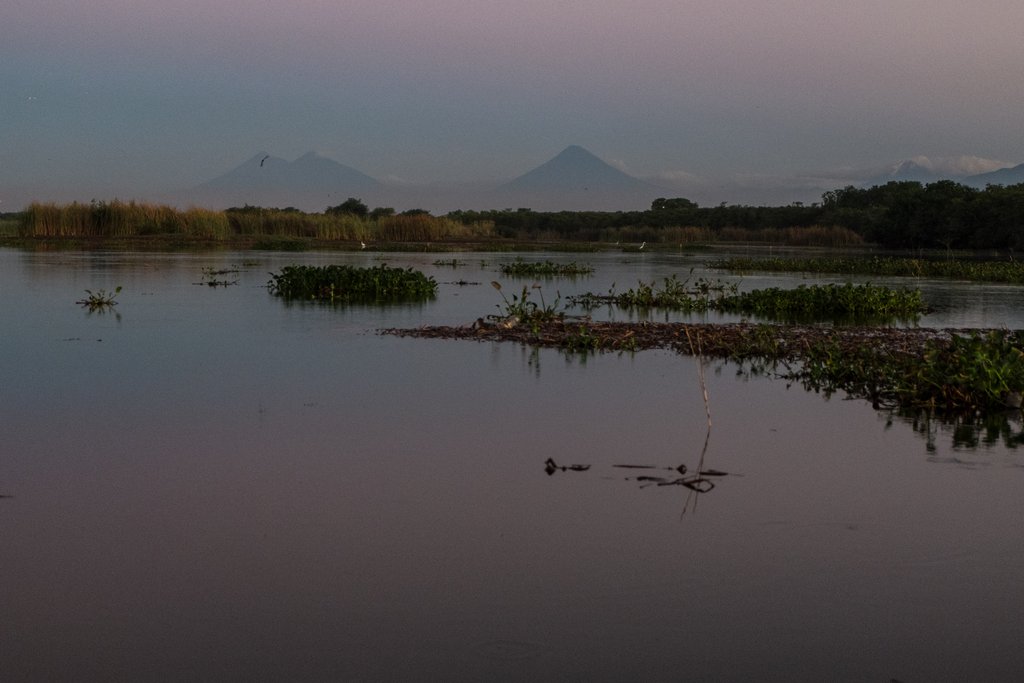 Alba sul canale di Chiquimulilla. Sullo sfondo i vulcani Agua, Pacaya e Fuego