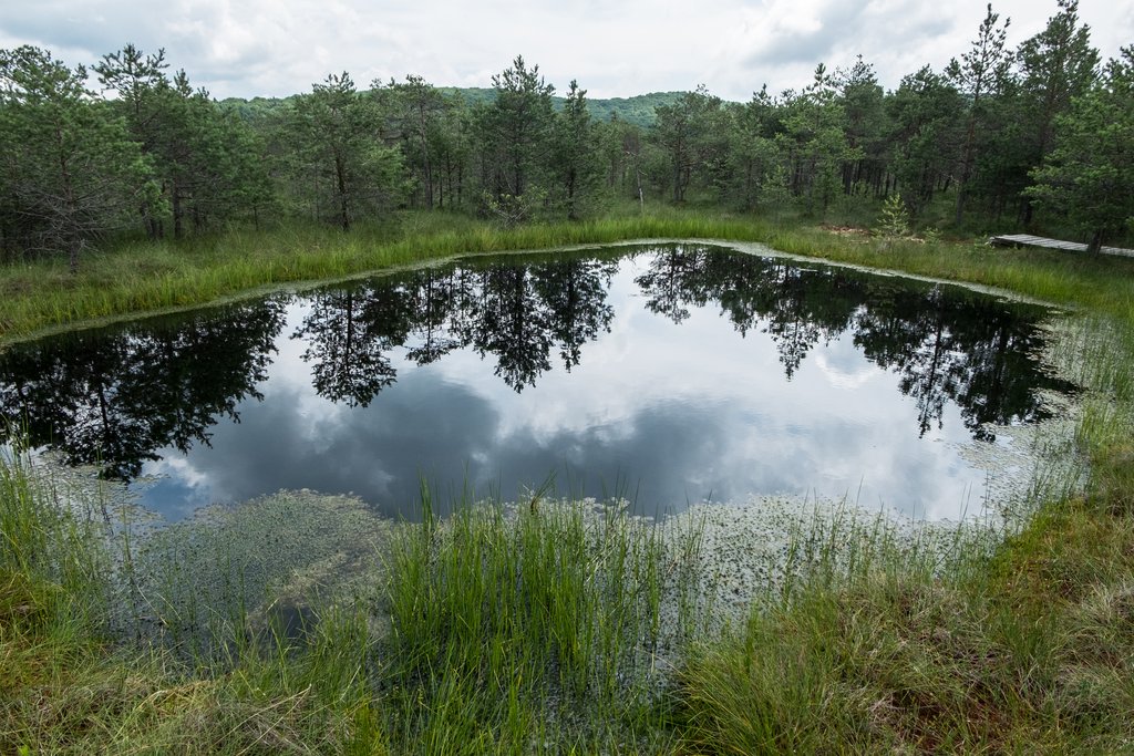 Uno dei laghi attualmente esistenti nella torbiera