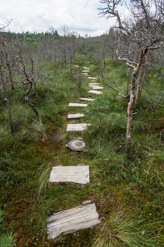 Percorso su assi di legno galleggianti