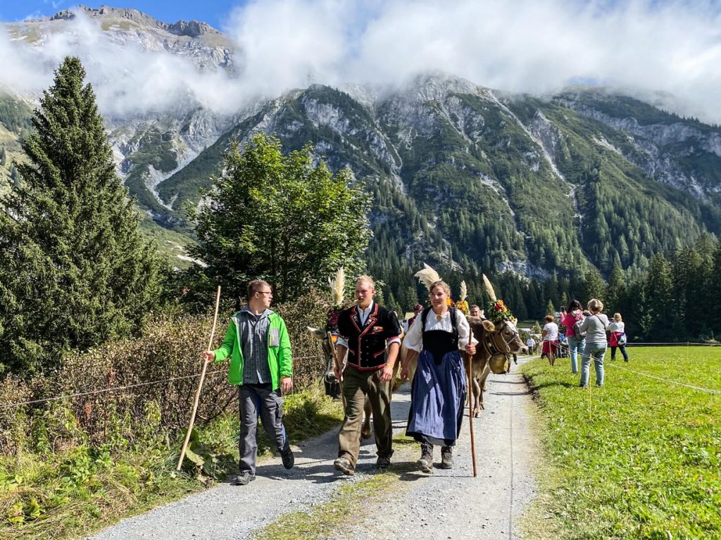 Bargis: arrivo delle mucche a valle.