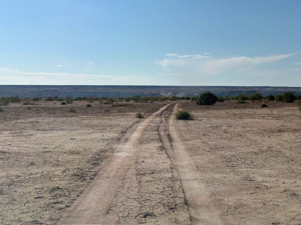 Tracce di automezzi e di sale in mezzo al deserto