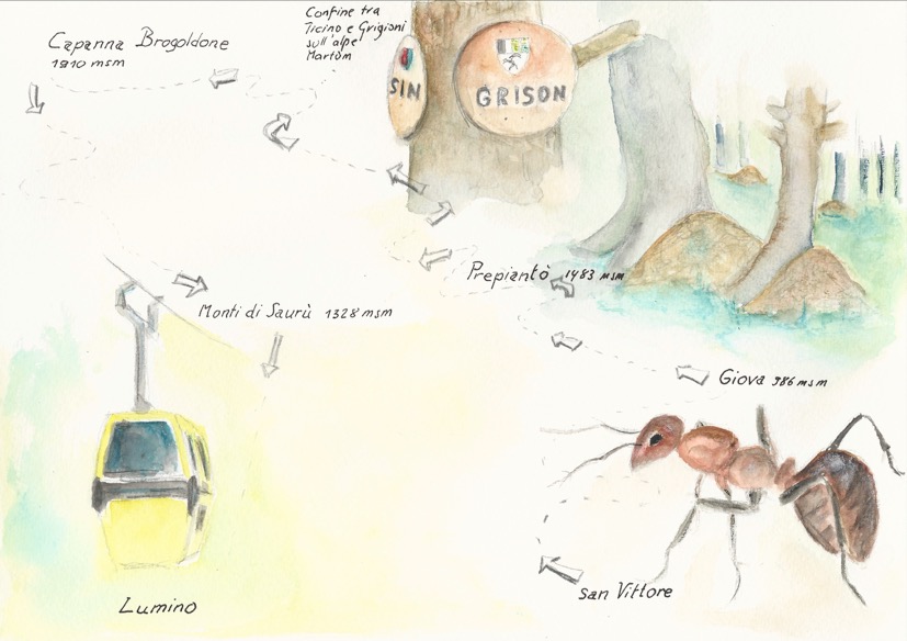 I due itinerari, disegno dell'autore