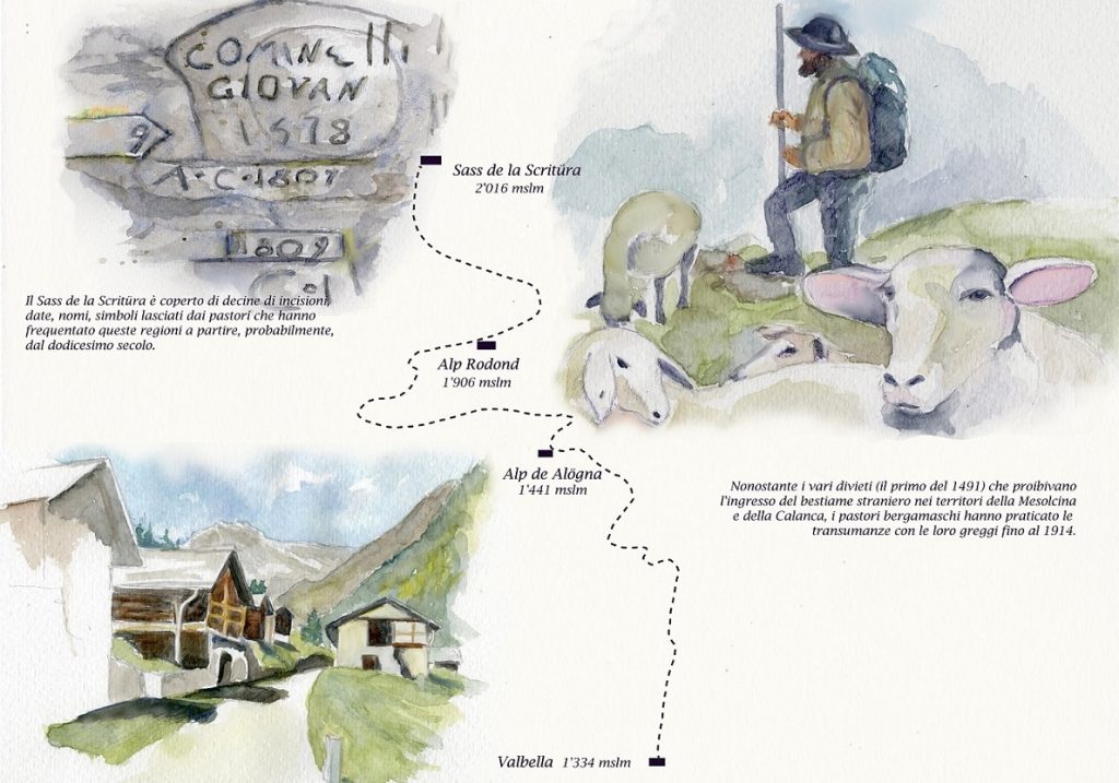 Disegno di Romano Venziani (Venziani)