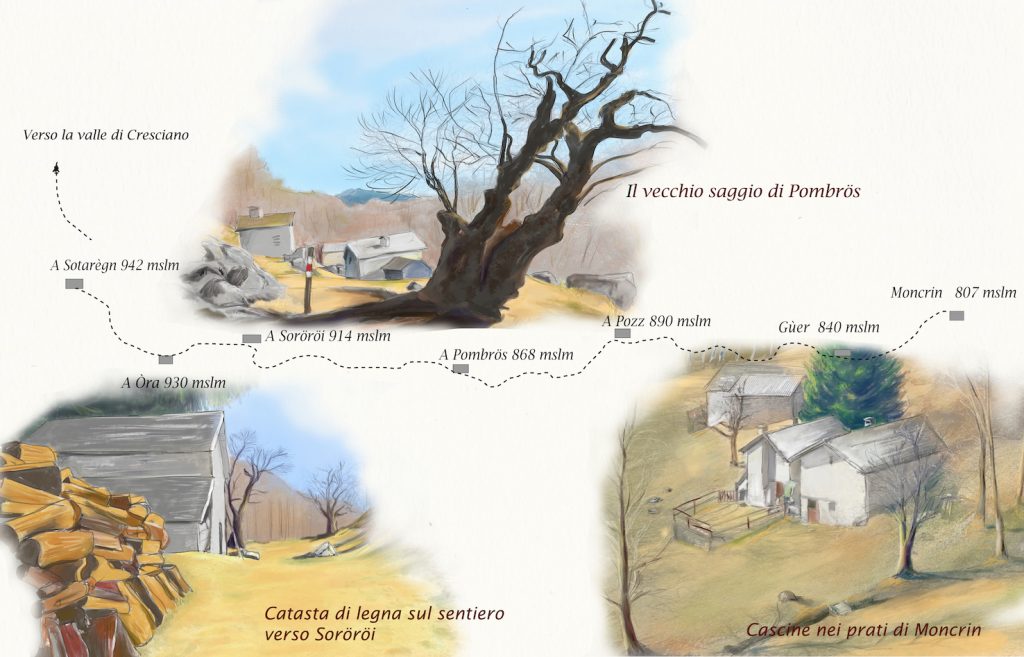 Il sentiero dei vecchi saggi (Illustrazione di Romano Venziani)