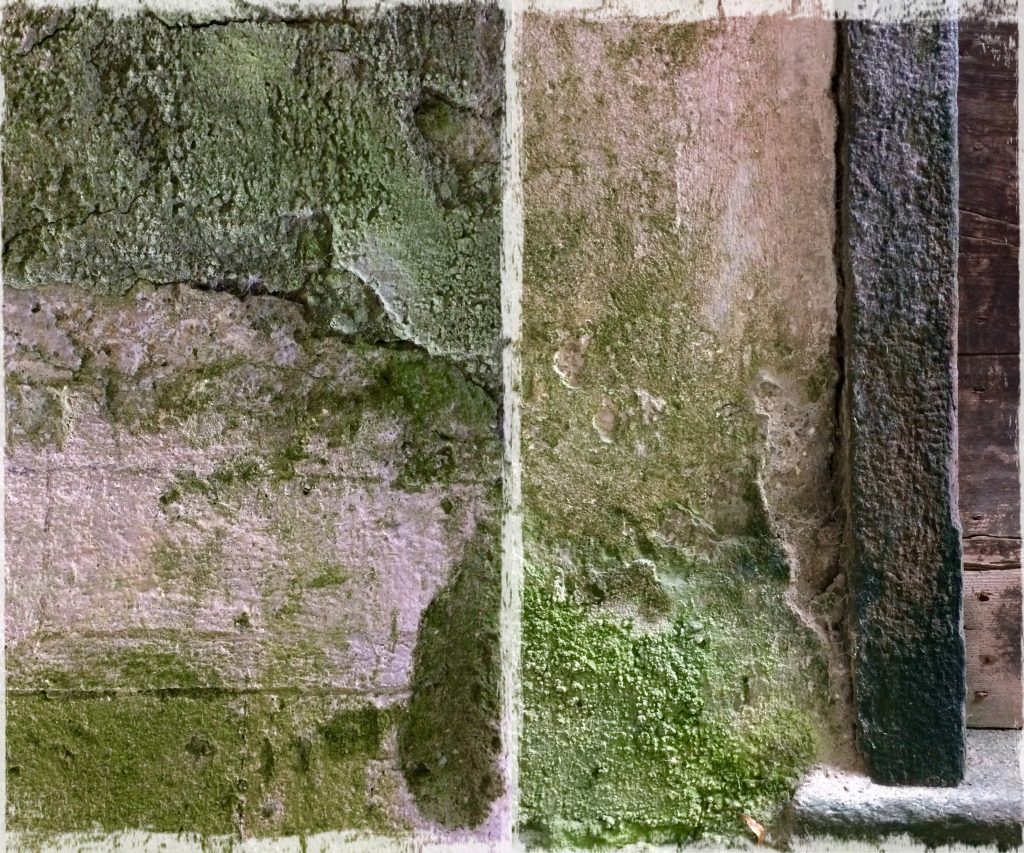 Dittico di Dona De Carli, 2017