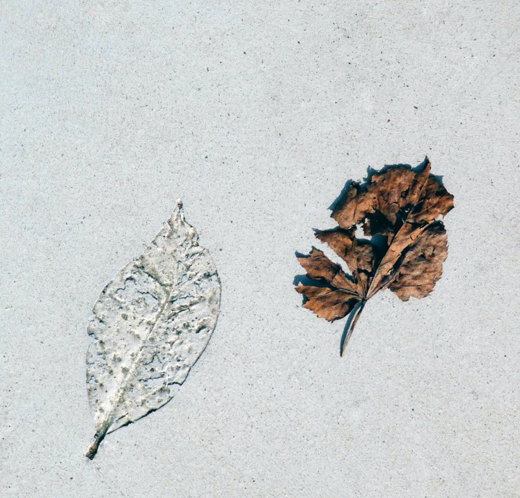 Dettaglio di copertina