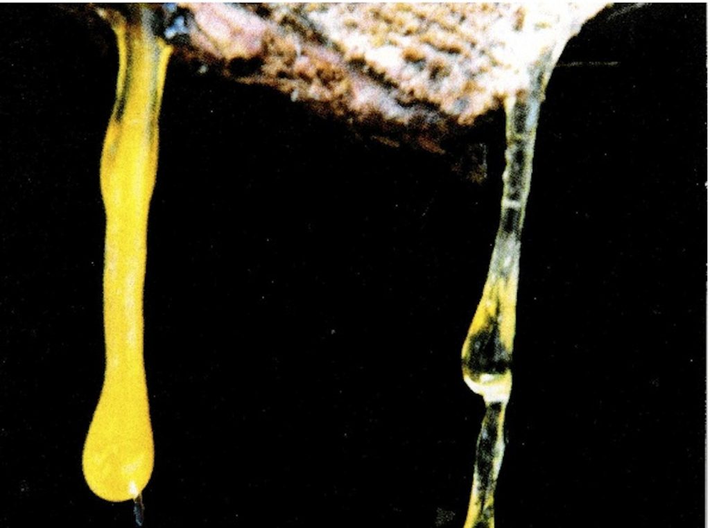 Colaticci di resina (Alessandro Focarile)