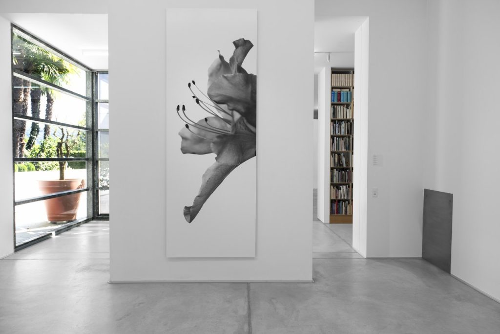 OLTRE/N.11, 2016 (© Marco D’Anna)