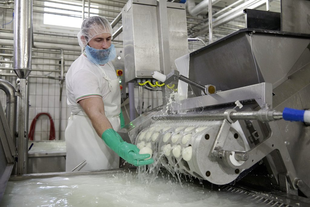 Nella sua latteria a Capua, Fattorie Garofalo trasforma il latte di bufala in mozzarella (Colin Dutton)