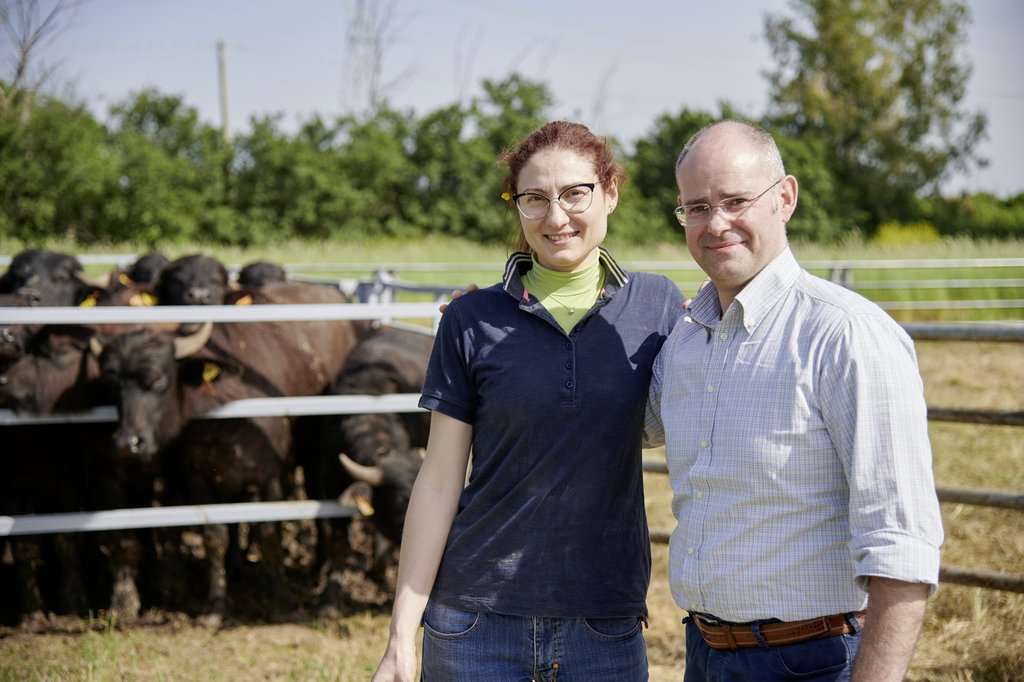 Rosa Schettino e Mario Pietroluongo di fronte al recinto dei bufali (Colin Dutton)