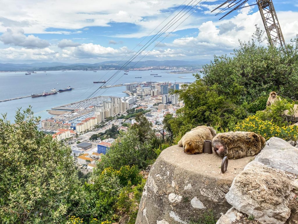 Scimmie, vista su porto e funivia turistica