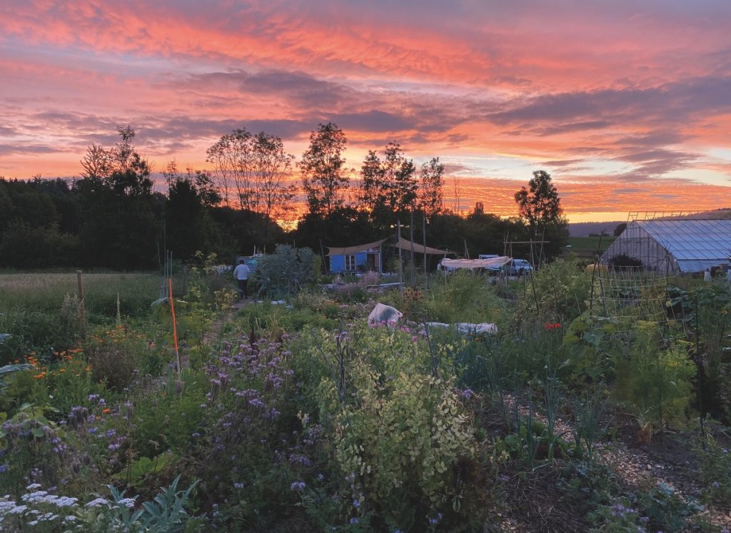 La sera al Grünhölzli, un’oasi verde che è anche un progetto sociale di integrazione e lavoro di vicinato (Cornelia Staffelbach)