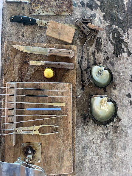 Gli utensili di chi lavora con le ostriche perlifere