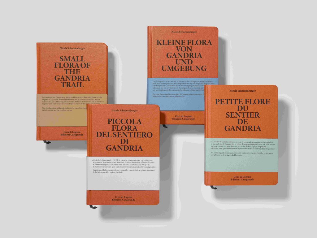 (Foto Simone Cavadini)