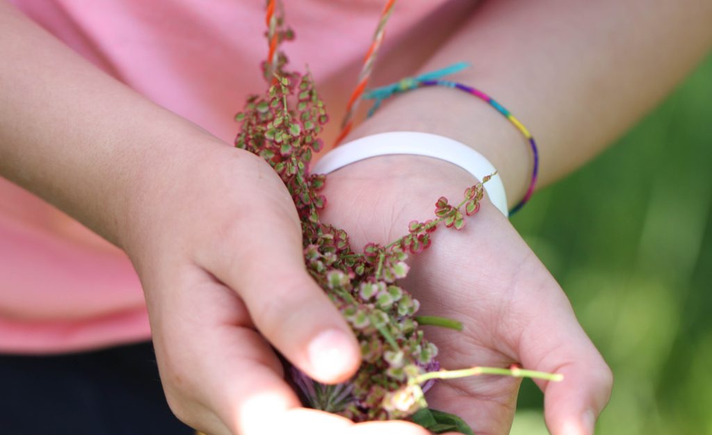 Con l’Alberoteca si può condividere la passione per la natura  (www.alberoteca.ch)