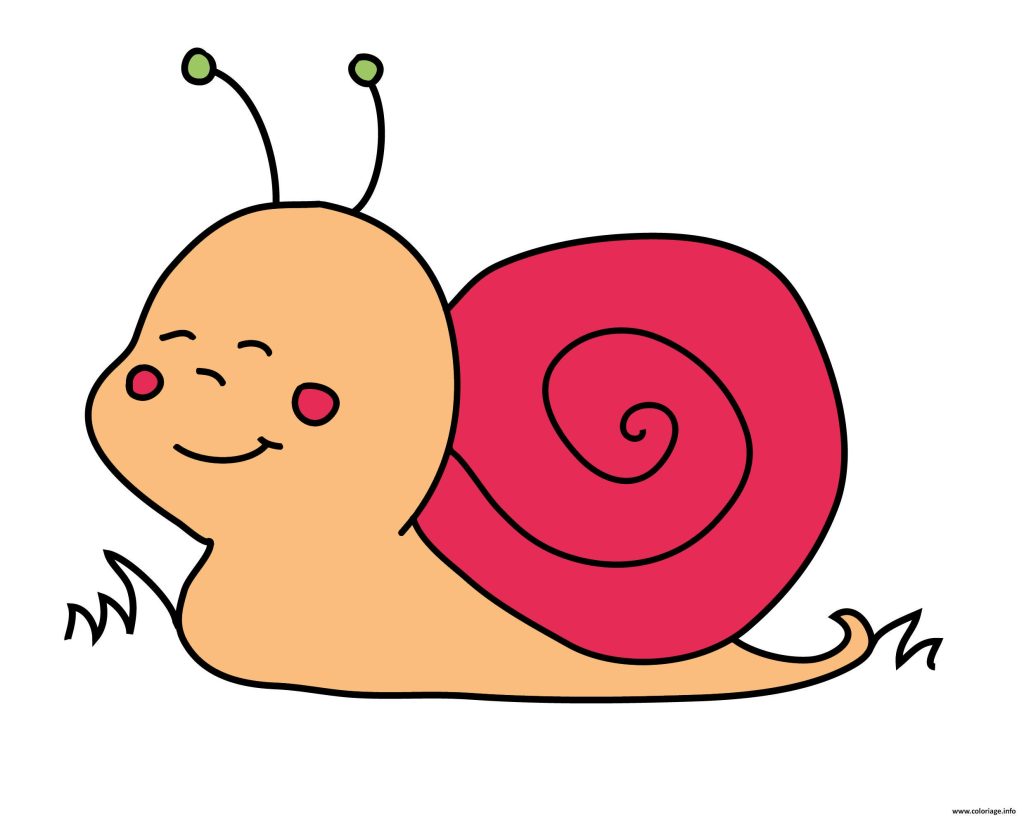 La lumaca Va...lentina