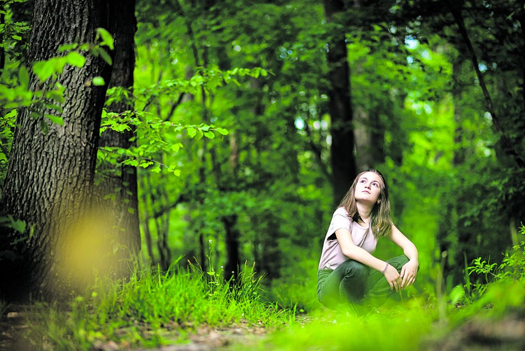 Nel bosco si sperimenta un grande relax. (Unsplash)