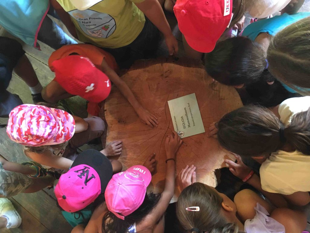 Una visita alla segheria patriziale di Faido nell’ambito delle giornate di Lingua e Sport (Tiziano Zanetti)