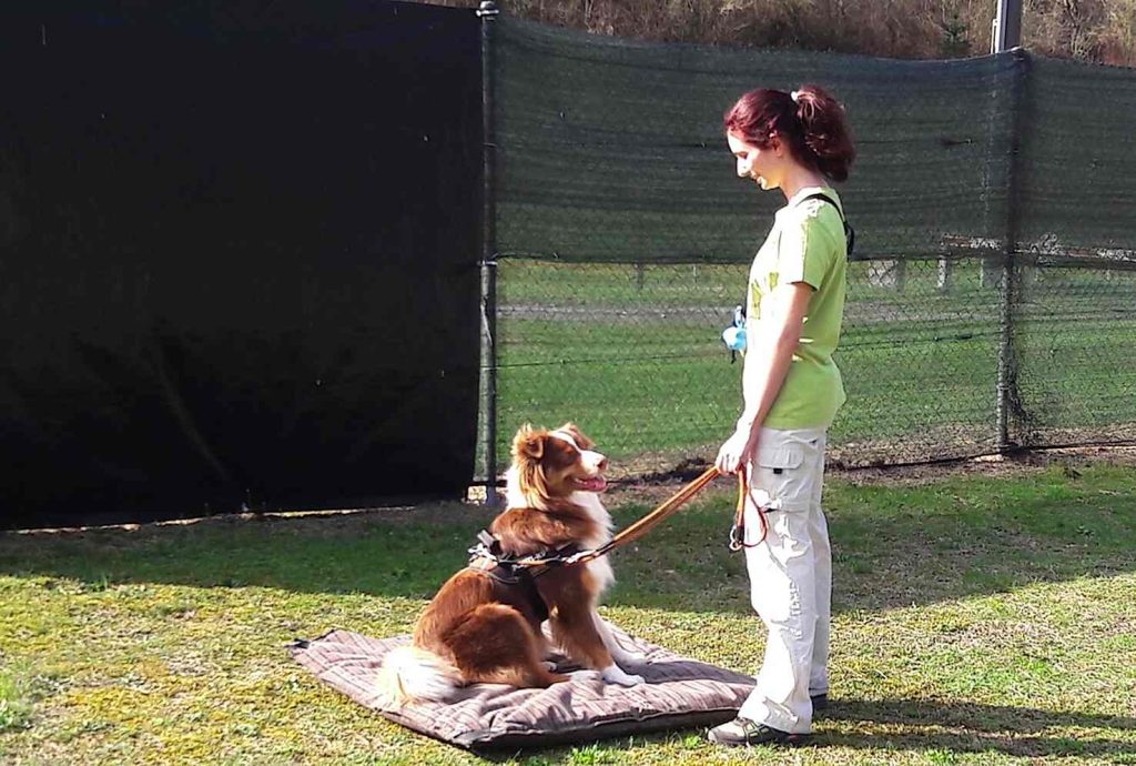 (Sheila Cappelletti)