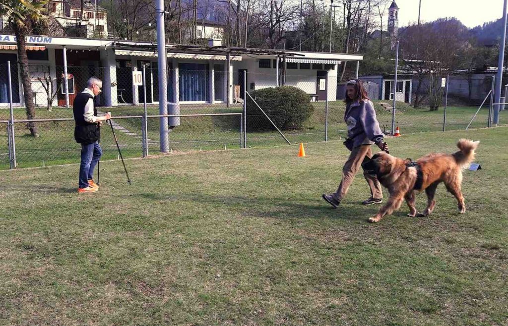 (Sheila Cappelletti)