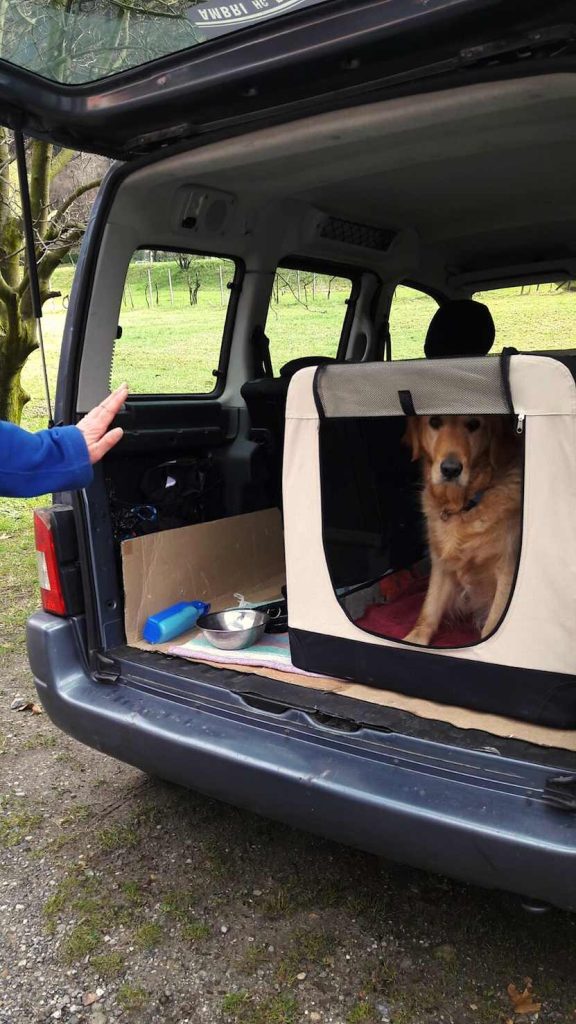 (Foto di: Sheila Cappelletti)