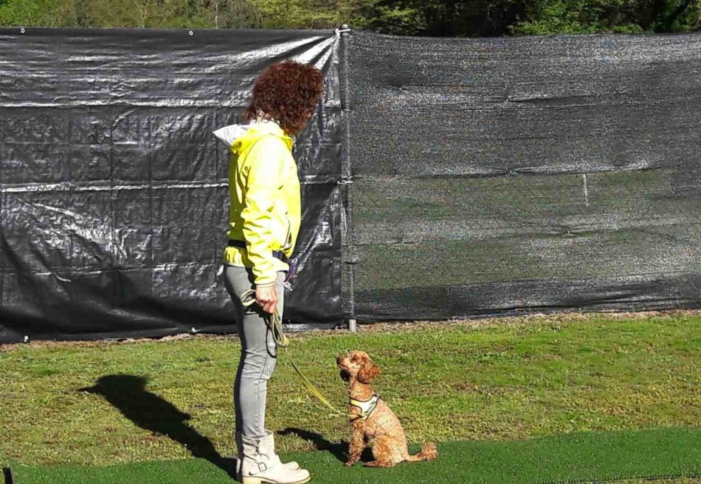 (Sheila Cappelletti)