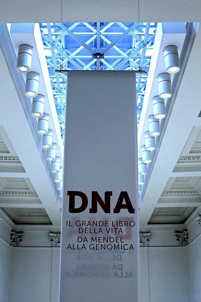 
«DNA. Il grande libro della vita da Mendel alla genomica» in mostra al Palazzo delle Esposizioni di Roma dal 10 febbraio al 18 giugno 2017.
