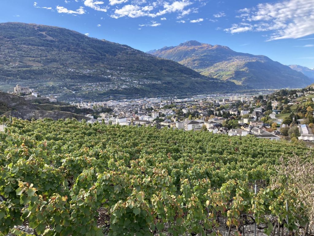 Sono molti i vigneti che circondano Sion (Manuela Mazzi)