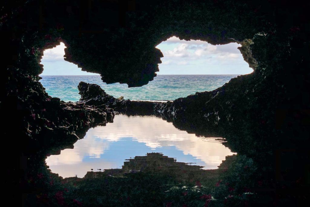 Animal Flower Cave: vista sull’oceano dalla grotta